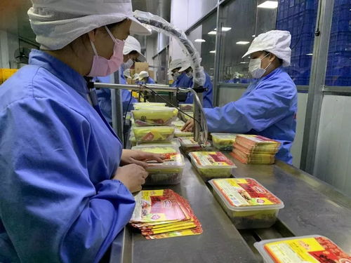 落實優惠政策，拓展“非接觸式”辦稅，稅務部門多措并舉助力企業復工復產